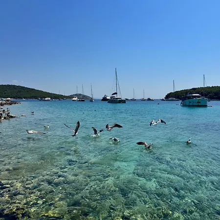 Venetta,beach House,pool,jacuzzi,satellite Internet-wifi,4x4 Utv Vehicle,sup Board,island Zirje, Sibenik Villa Zirje