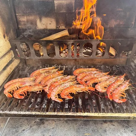 Venetta,beach House,pool,jacuzzi,satellite Internet-wifi,4x4 Utv Vehicle,sup Board,island Zirje, Sibenik Villa