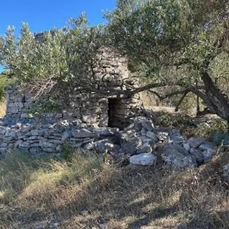 Venetta,beach House,pool,jacuzzi,satellite Internet-wifi,4x4 Utv Vehicle,sup Board,island Zirje, Sibenik Villa Žirje