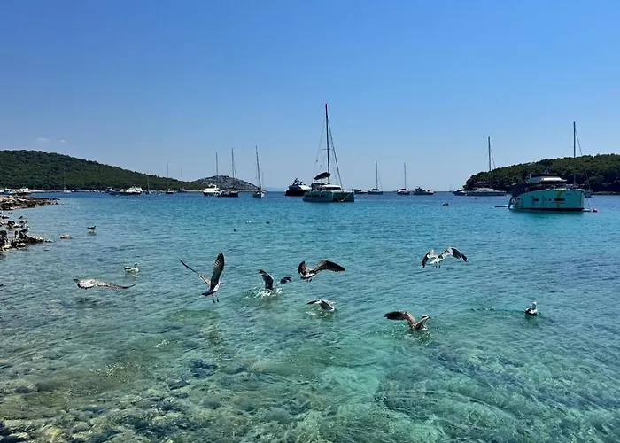 Venetta,beach House,pool,jacuzzi,satellite Internet-wifi,4x4 Utv Vehicle,sup Board,island Zirje, Sibenik Villa Žirje